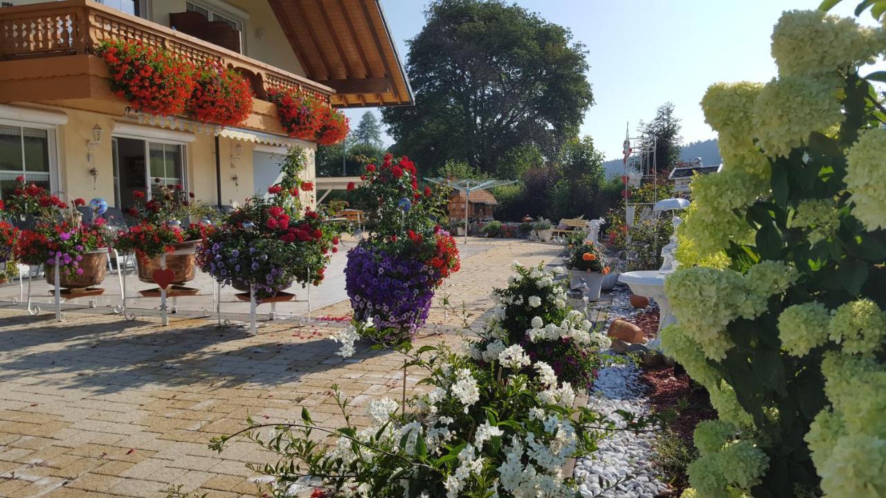 Rehblick Appartamento