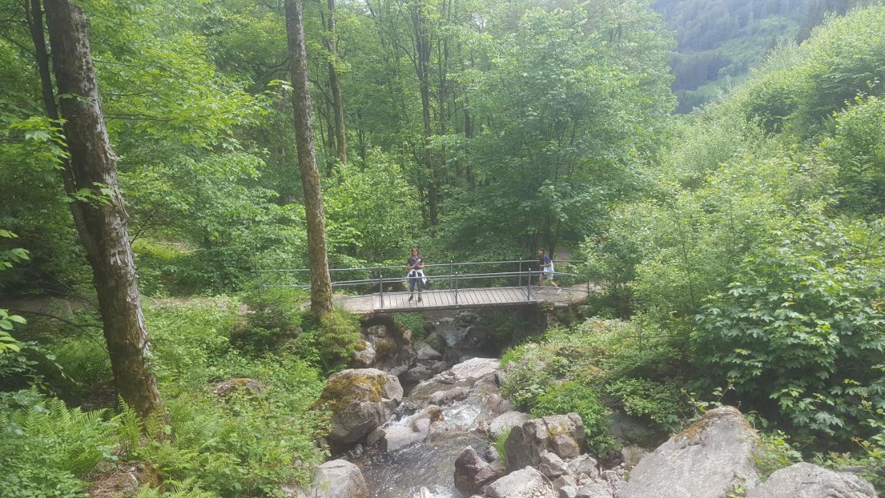 Rehblick Eisenbach (Breisgau-Hochschwarzwald)