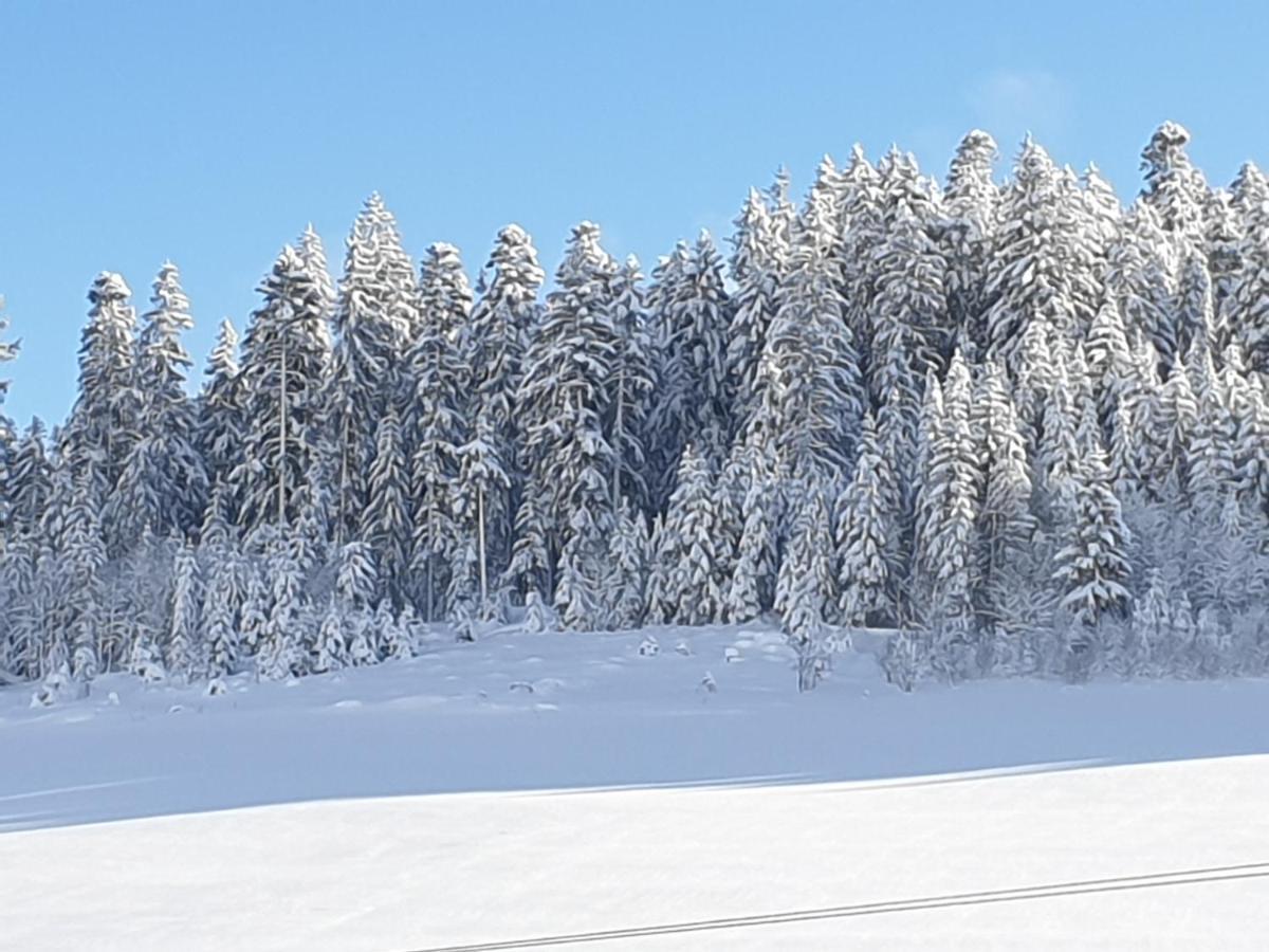 Rehblick Eisenbach (Breisgau-Hochschwarzwald)