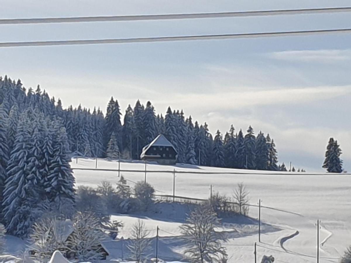 Rehblick * Eisenbach (Breisgau-Hochschwarzwald)