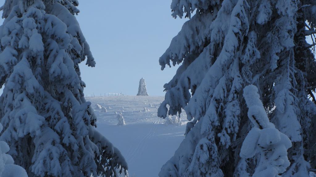 Appartement Rehblick