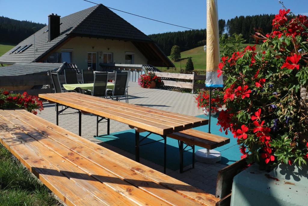 Rehblick Apartment Eisenbach (Breisgau-Hochschwarzwald)