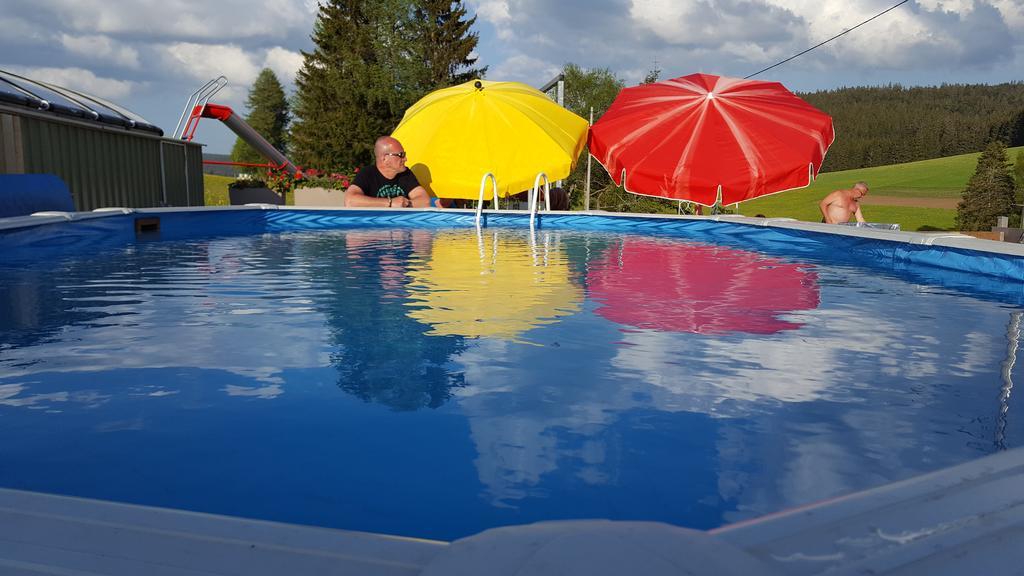 Rehblick * Eisenbach (Breisgau-Hochschwarzwald)