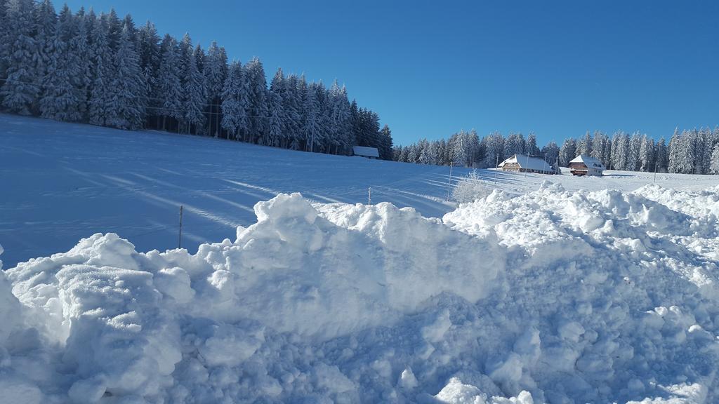 Rehblick Eisenbach (Breisgau-Hochschwarzwald)