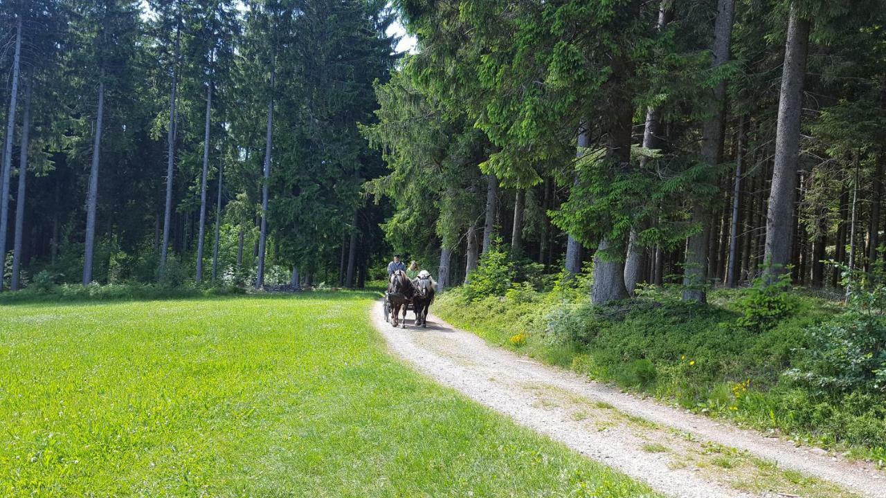 Appartement Rehblick